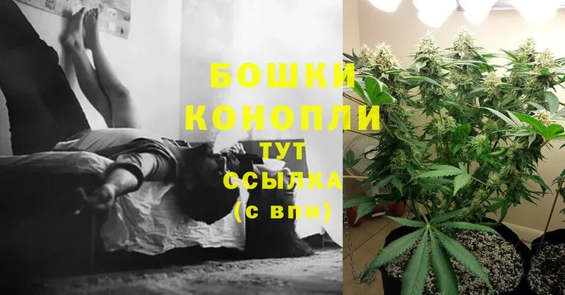 где продают наркотики  Югорск  МАРИХУАНА SATIVA & INDICA 